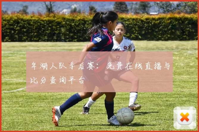 年湖人队季后赛：免费在线直播与比分查询平台